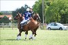 UKPA NC SAT_2411